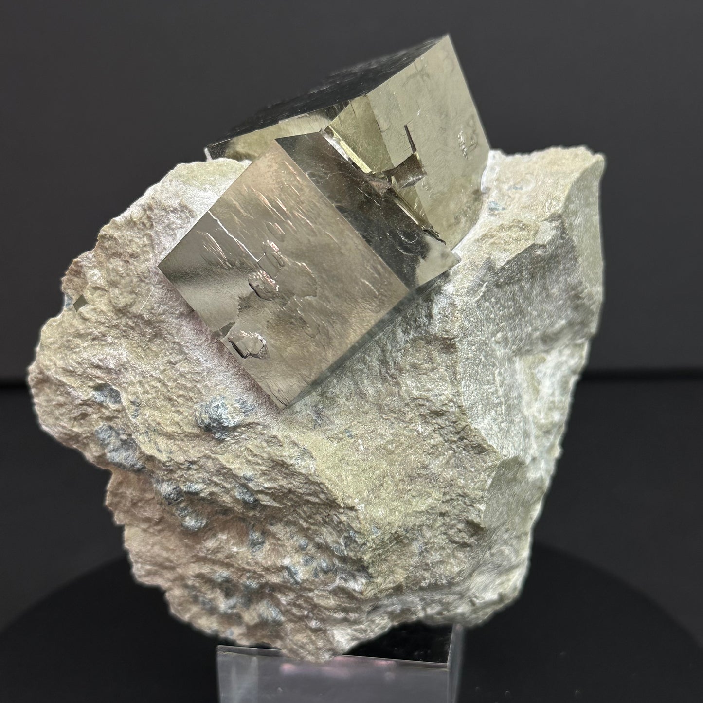 Intergrown Pyrite on Matrix from Mina Ampliación A Victoria, Navajún, Spain.