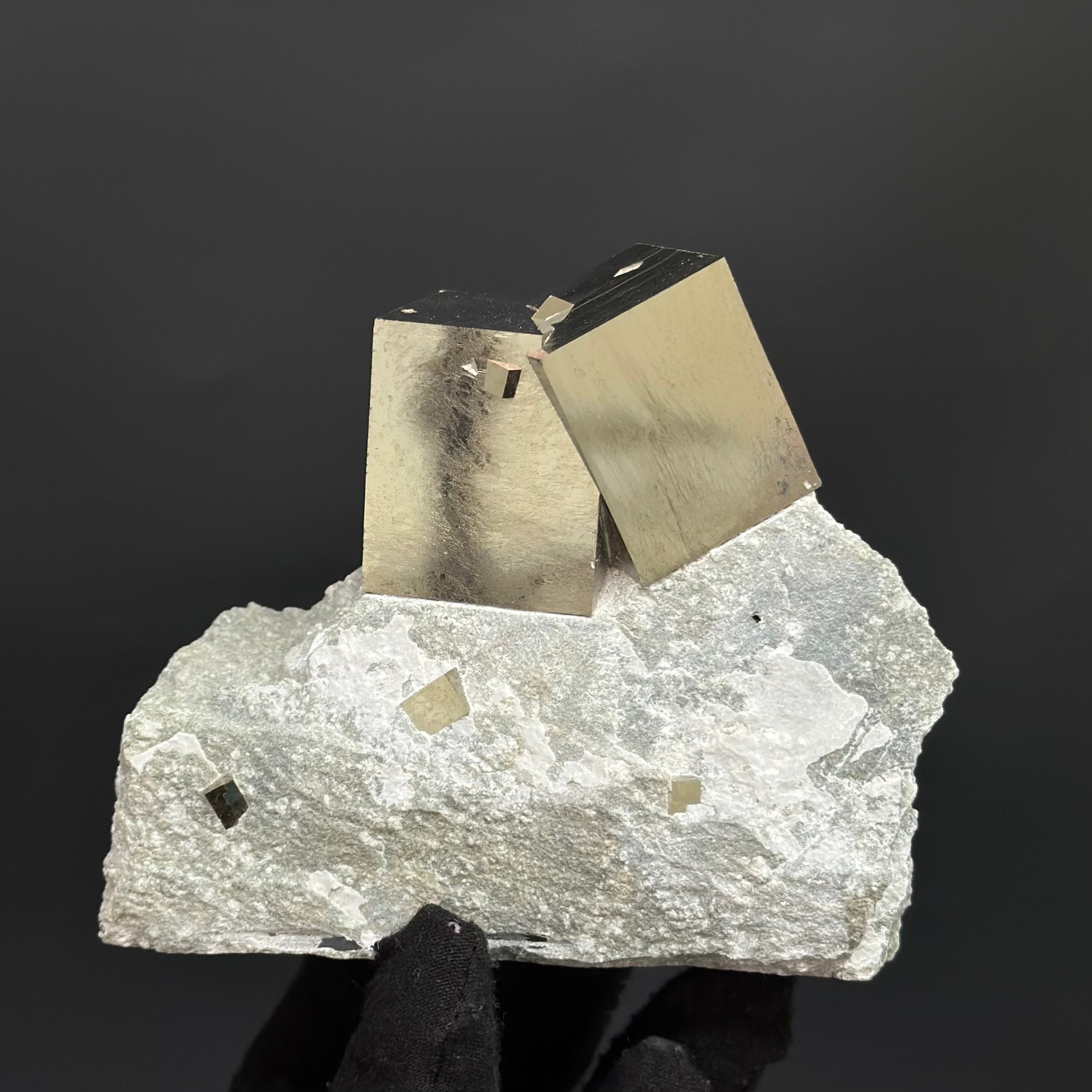 COLLECTION Pyrite on Matrix from Mina Ampliación A Victoria, Navajún, Spain.