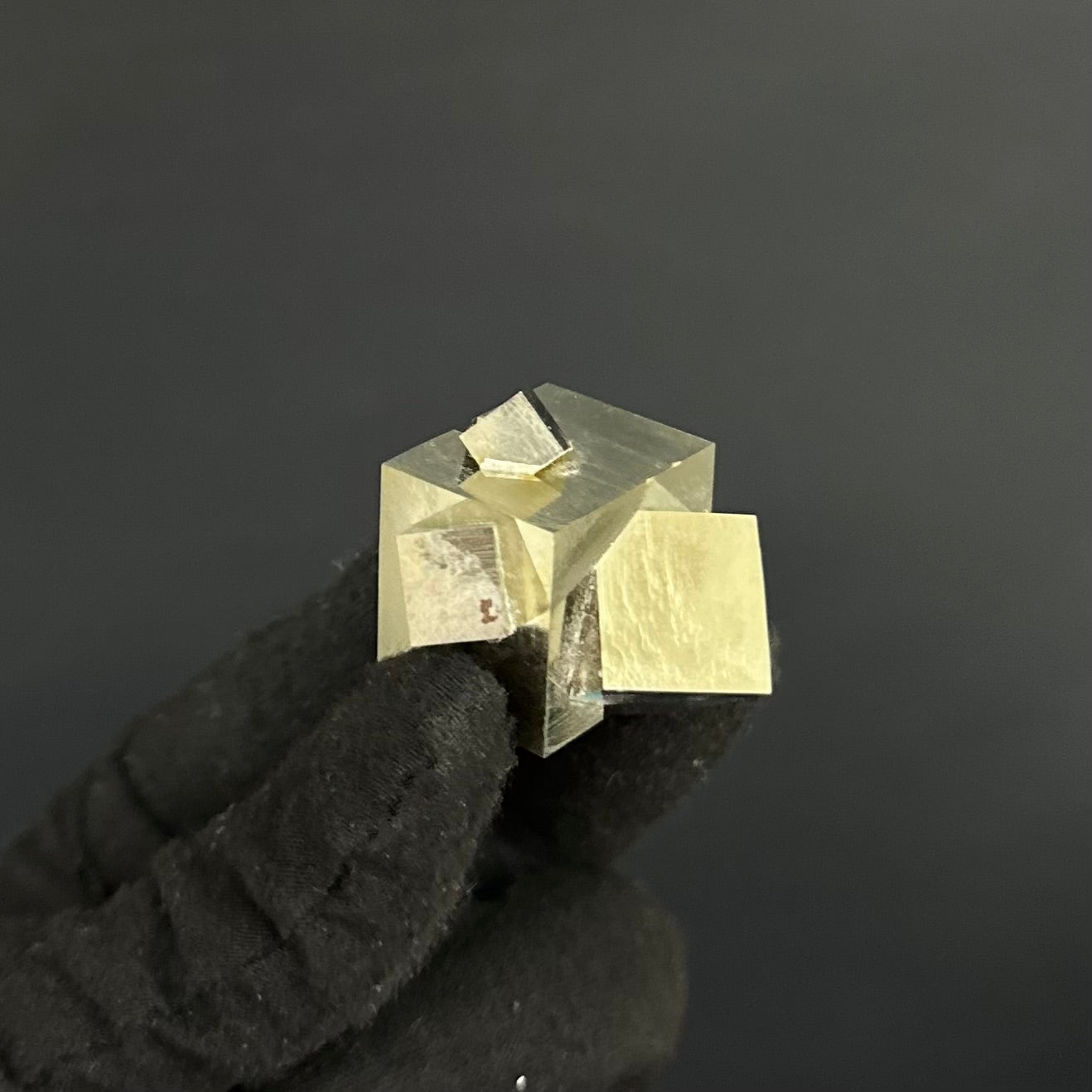 High Quality Small Intergrown Pyrite Specimen from Mina Ampliación A Victoria Mine