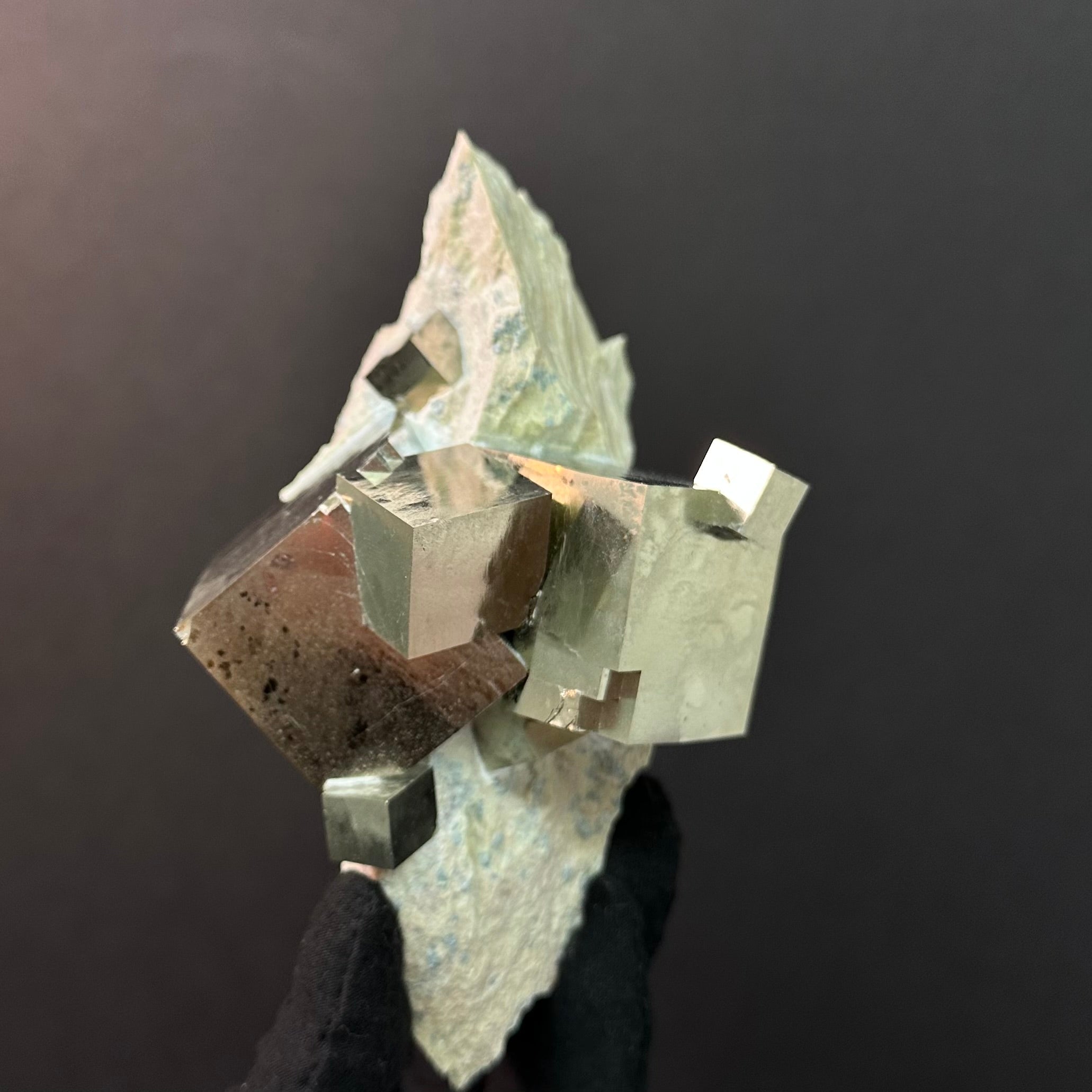 Pyrite Intergrown on Matrix from Mina Ampliación A Victoria, Navajún, Spain.