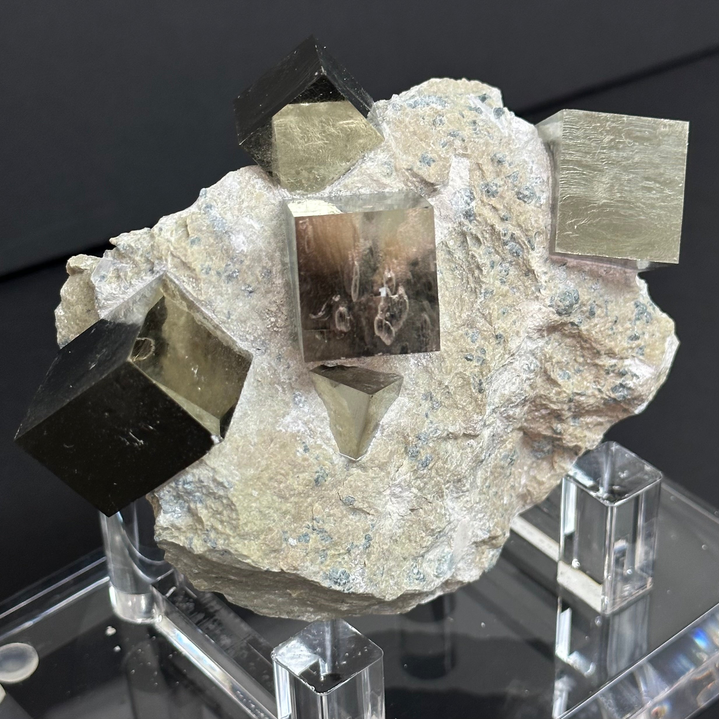 Collection Pyrite Specimen from Mina Ampliación A Victoria, Navajún, Spain.