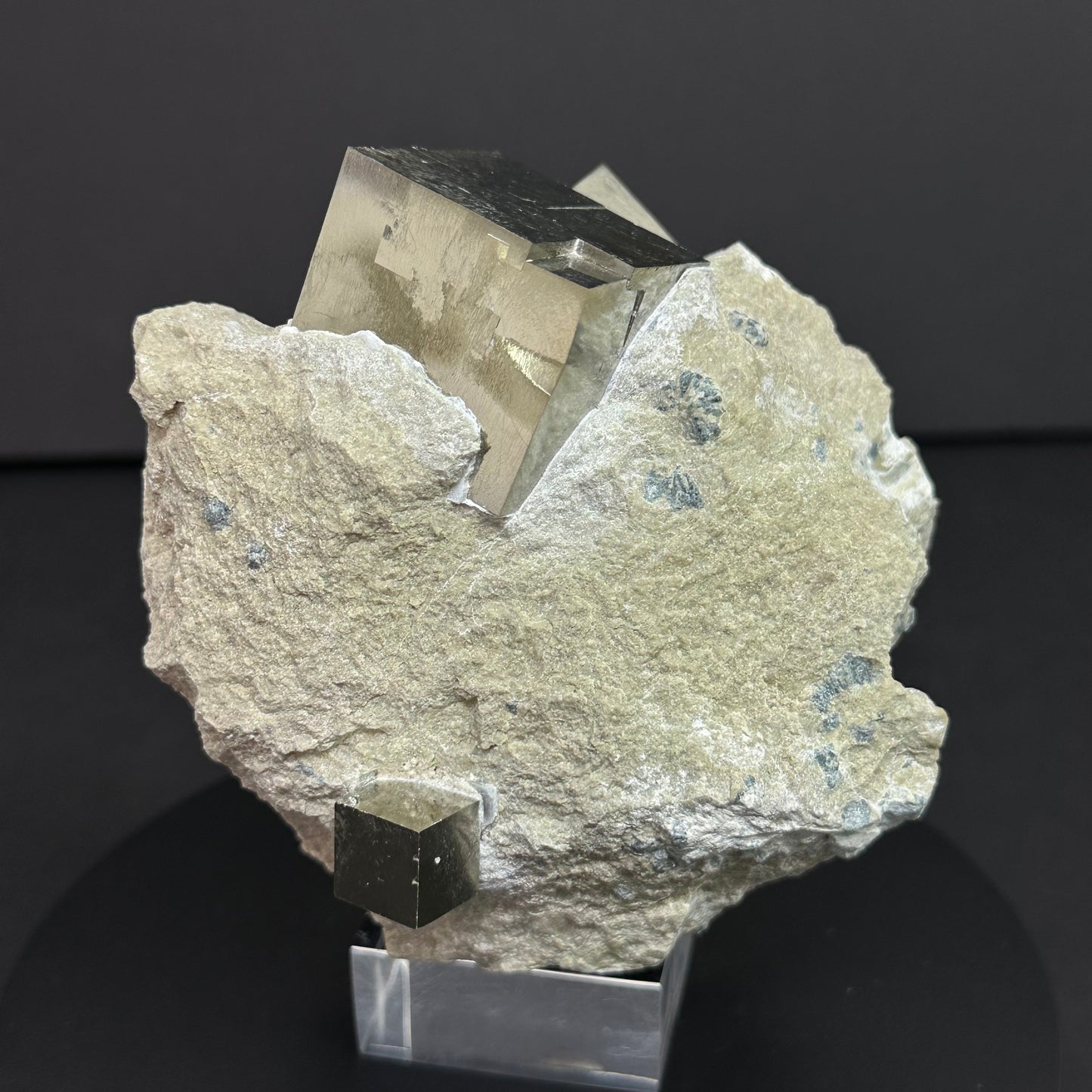 Intergrown Pyrite on Matrix from Mina Ampliación A Victoria, Navajún, Spain.